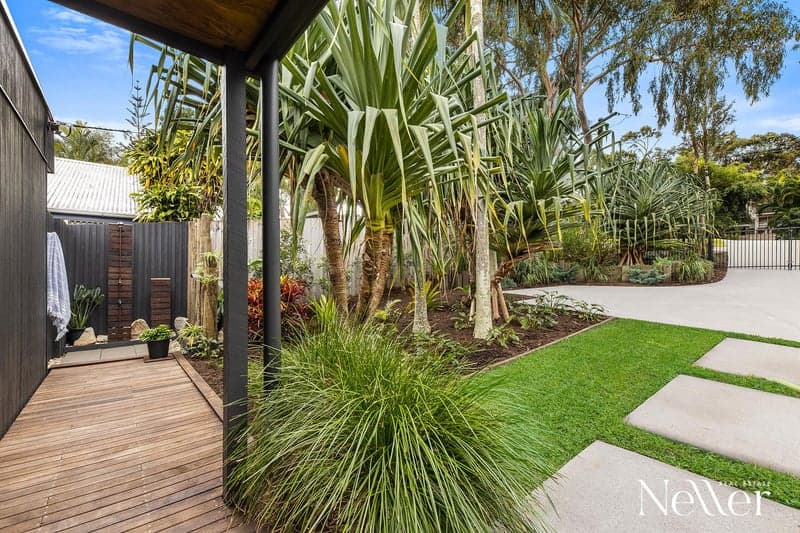 239 Edwards Street, Sunshine Beach - Thumbnail 5