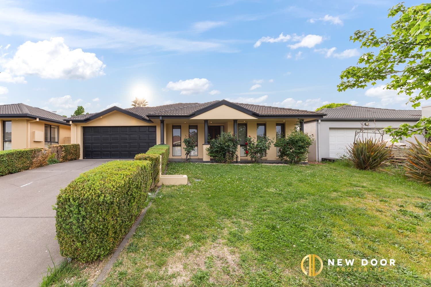 19 Marie Dalley Street, Gungahlin ACT, Gungahlin - Image 1