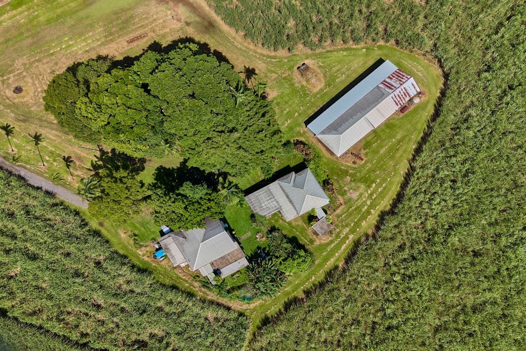 229 Russell Road, Gordonvale, QLD, 4865, Gordonvale - Thumbnail 2
