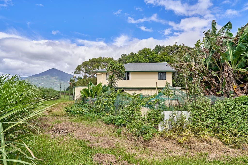 229 Russell Road, Gordonvale, QLD, 4865, Gordonvale - Thumbnail 7