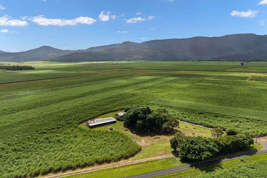 229 Russell Road, Gordonvale, QLD, 4865, Gordonvale - Thumbnail 8