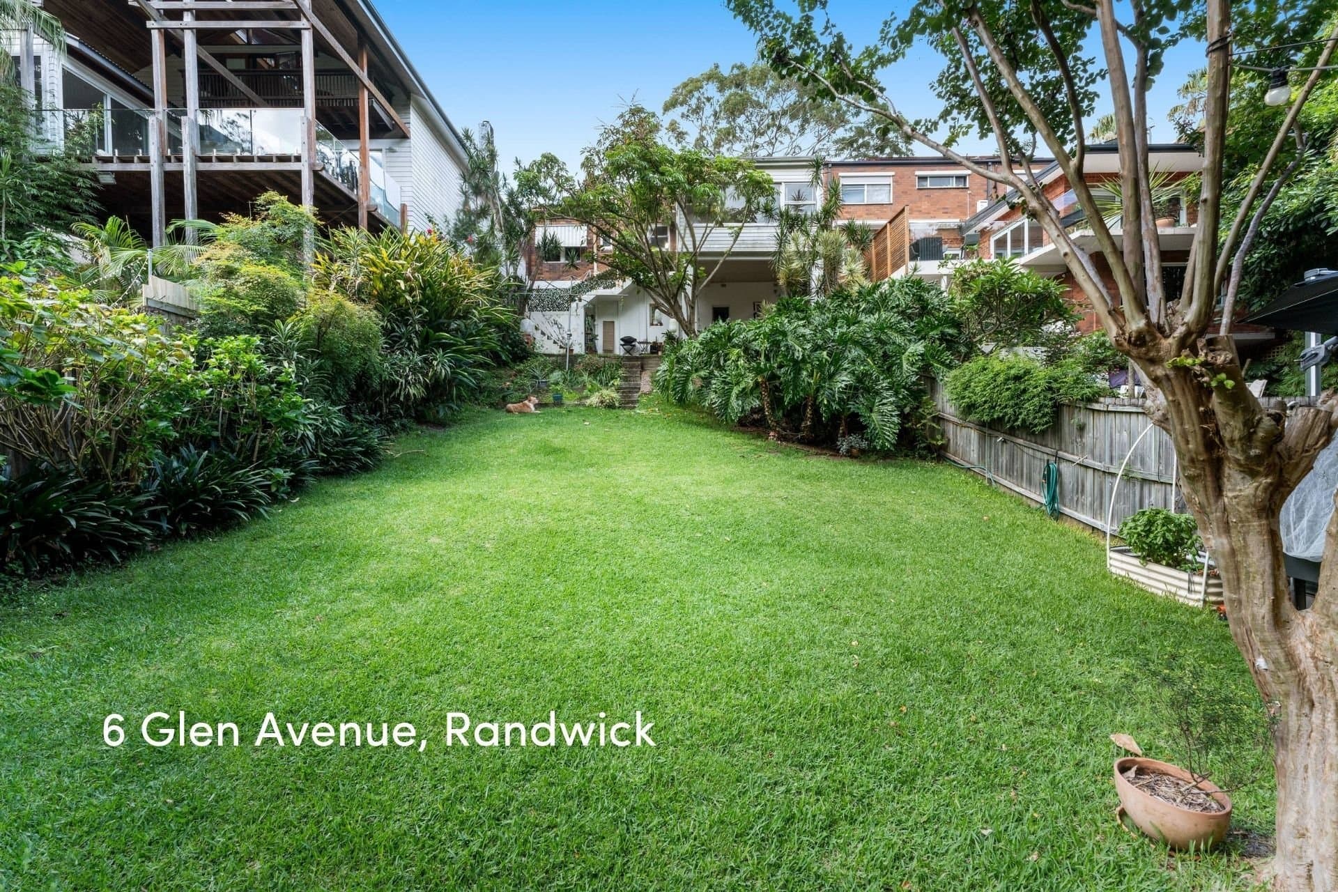 6 & 8 Glen Avenue, Randwick - Thumbnail 8