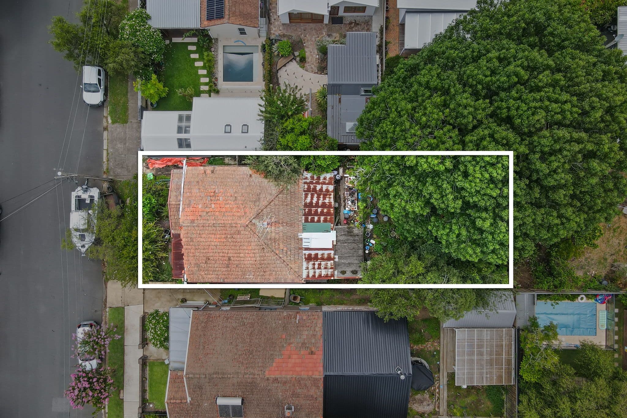 87 Abergeldie Street, Dulwich Hill NSW 2203, Dulwich Hill - Thumbnail 2