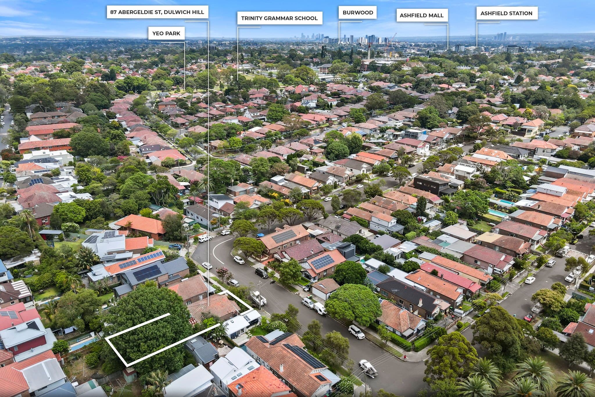 87 Abergeldie Street, Dulwich Hill NSW 2203, Dulwich Hill - Thumbnail 4