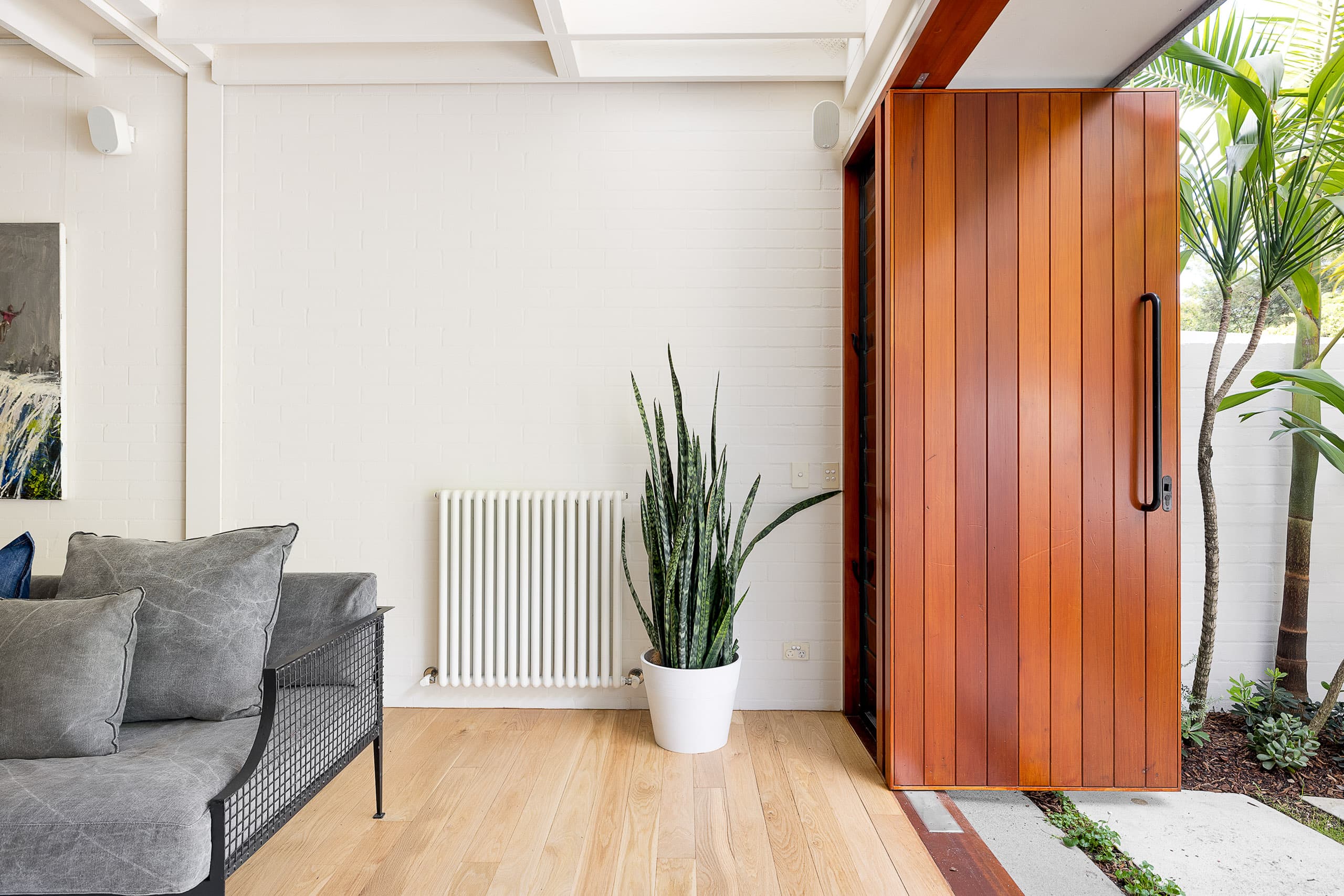 311 Nelson Street, Annandale - Thumbnail 3