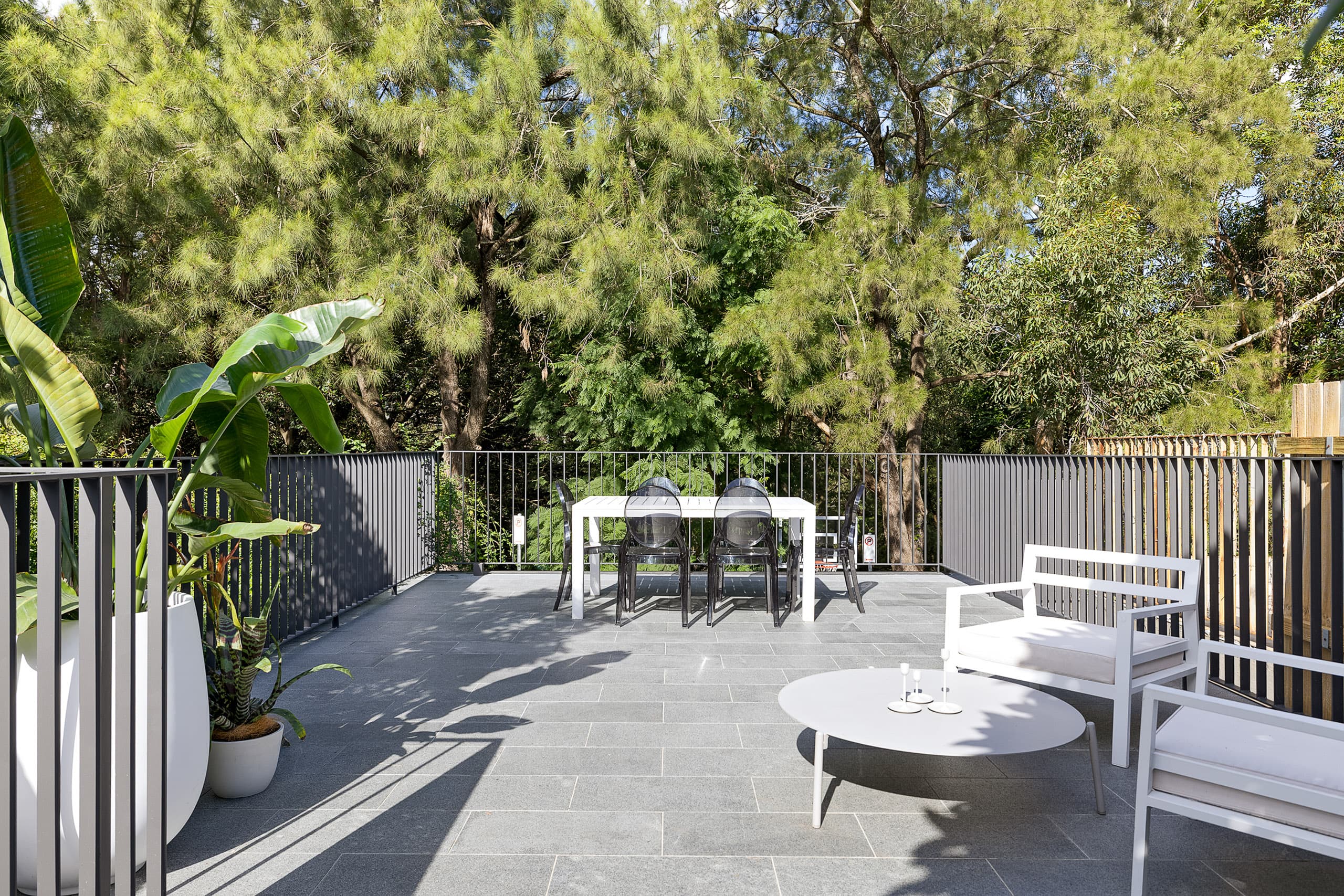 311 Nelson Street, Annandale - Thumbnail 7
