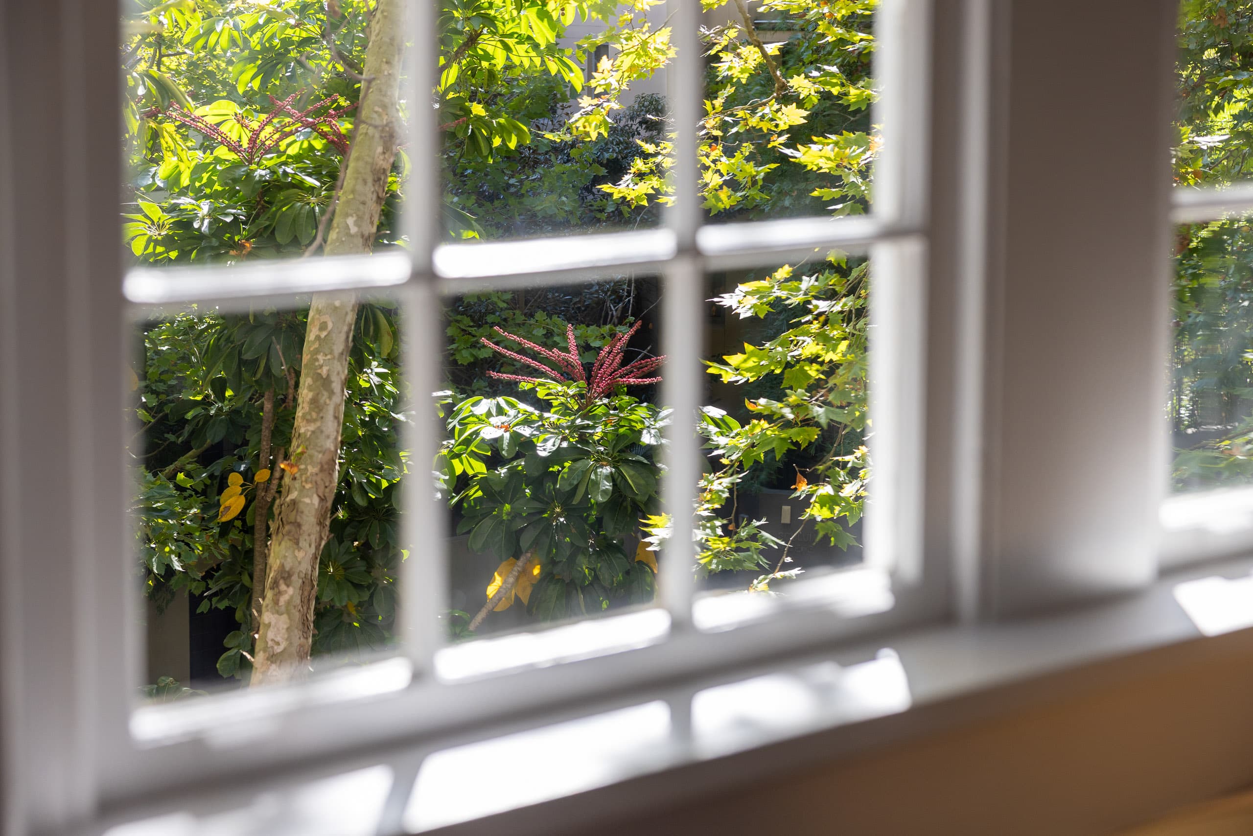 9/2B Tusculum Street, Potts Point - Thumbnail 5