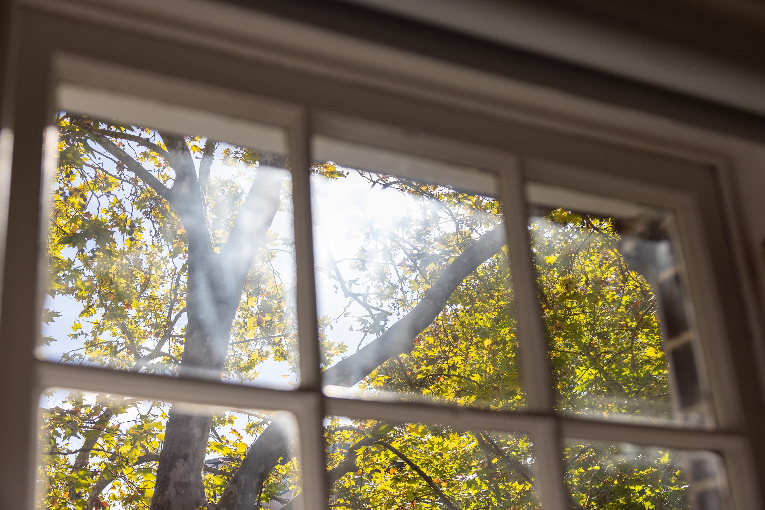 9/2B Tusculum Street, Potts Point - Thumbnail 6