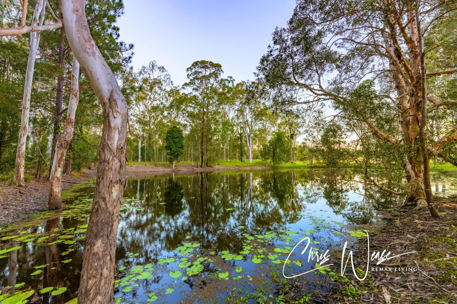720 Cove Road Stanmore QLD 4514, Stanmore - Thumbnail 4