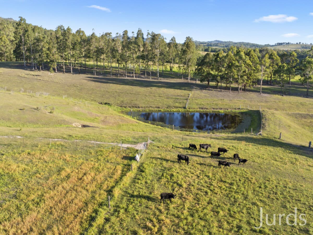 482B Lambs Valley Road, Lambs Valley, Lambs Valley - Thumbnail 7