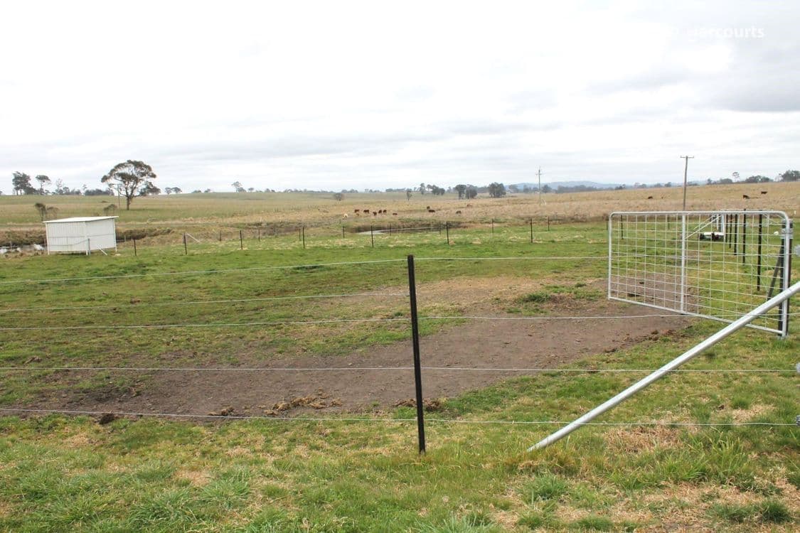 1672 Red Range Road, GLEN INNES, NSW 2370, Glen Innes - Thumbnail 5