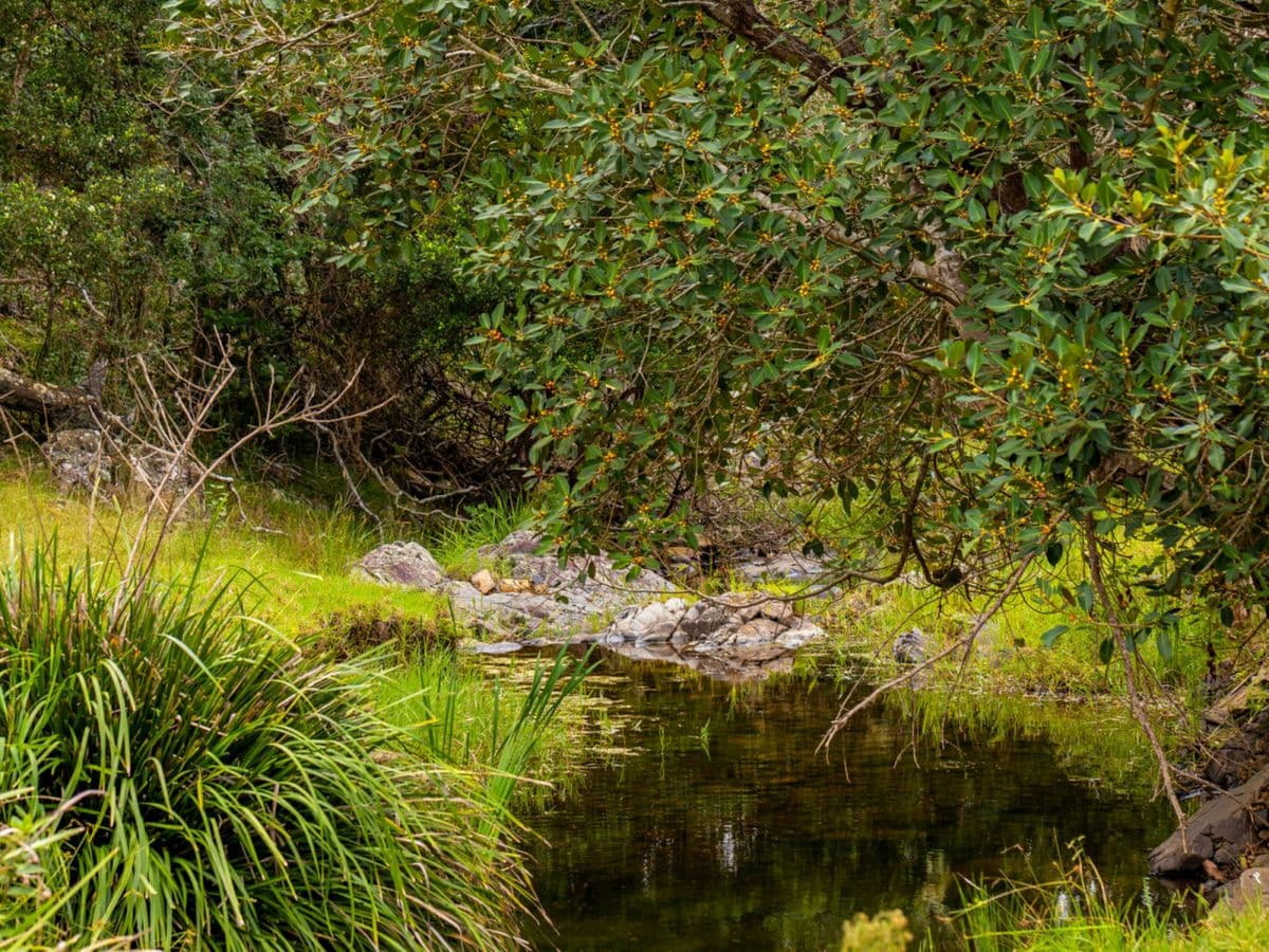 507 Stony Creek Road, KIMBRIKI, Kimbriki - Thumbnail 2