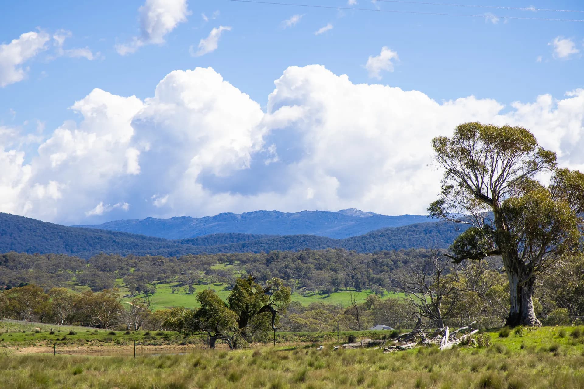 9 Mountain View Road, Moonbah, NSW, Moonbah - Thumbnail 2