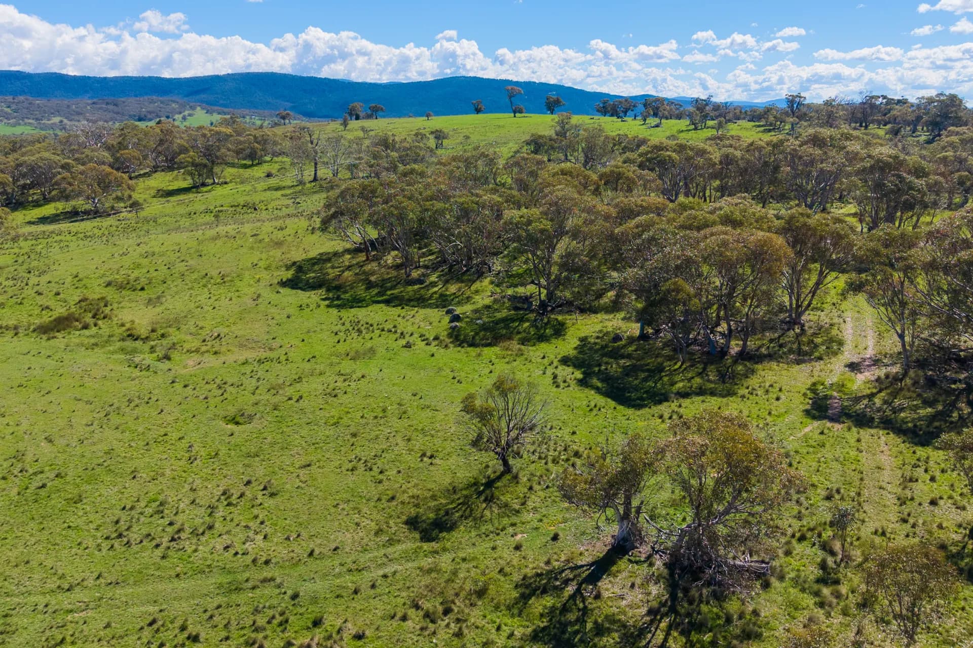 9 Mountain View Road, Moonbah, NSW, Moonbah - Thumbnail 6
