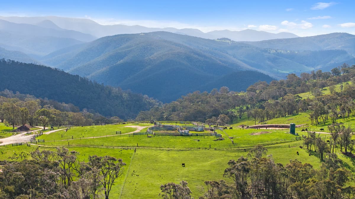 Lot 2 / 914 Target Creek Road, Licola, Licola - Image 1