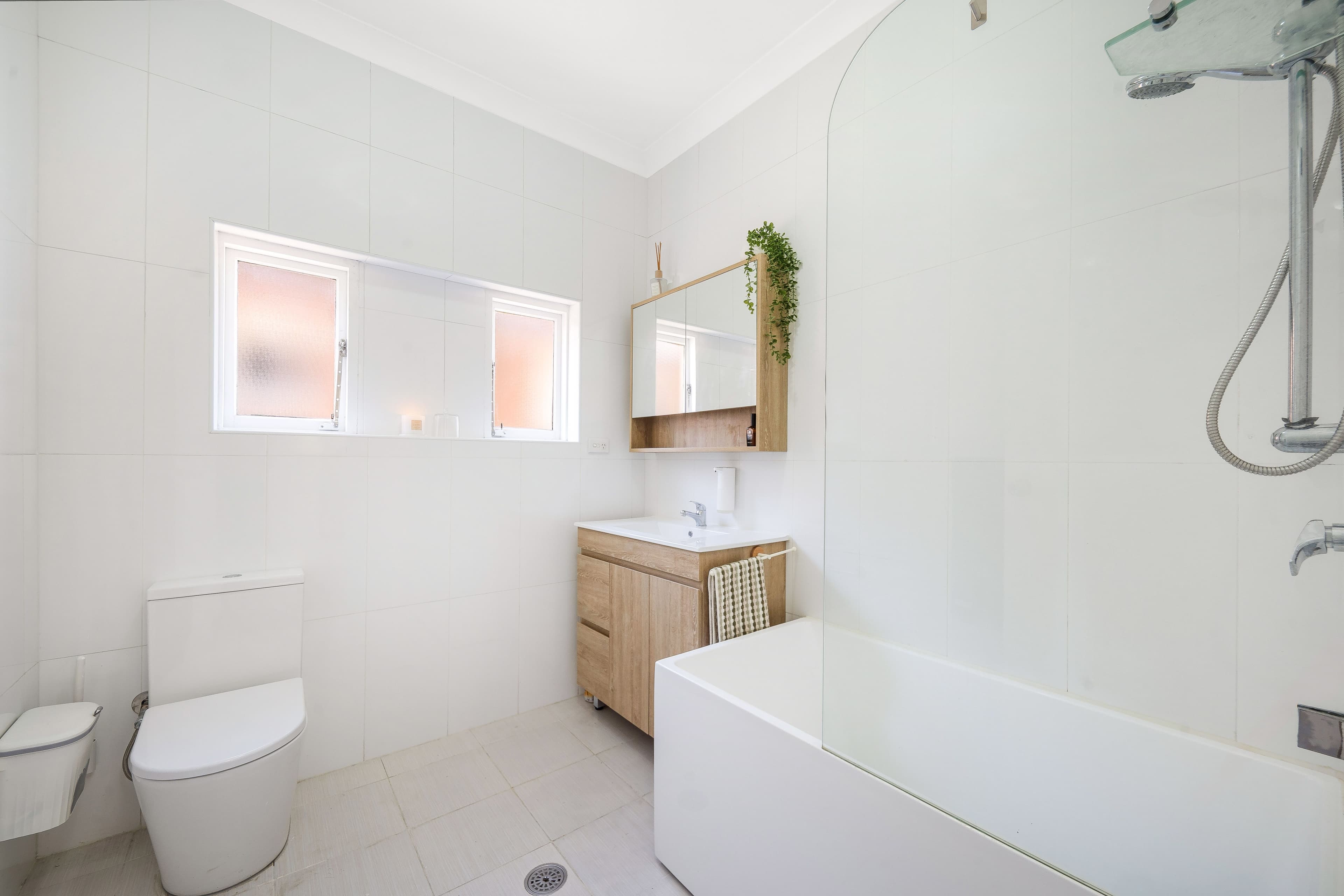 67 Jocelyn Street, Chester Hill NSW 2162, Chester Hill - Thumbnail 4