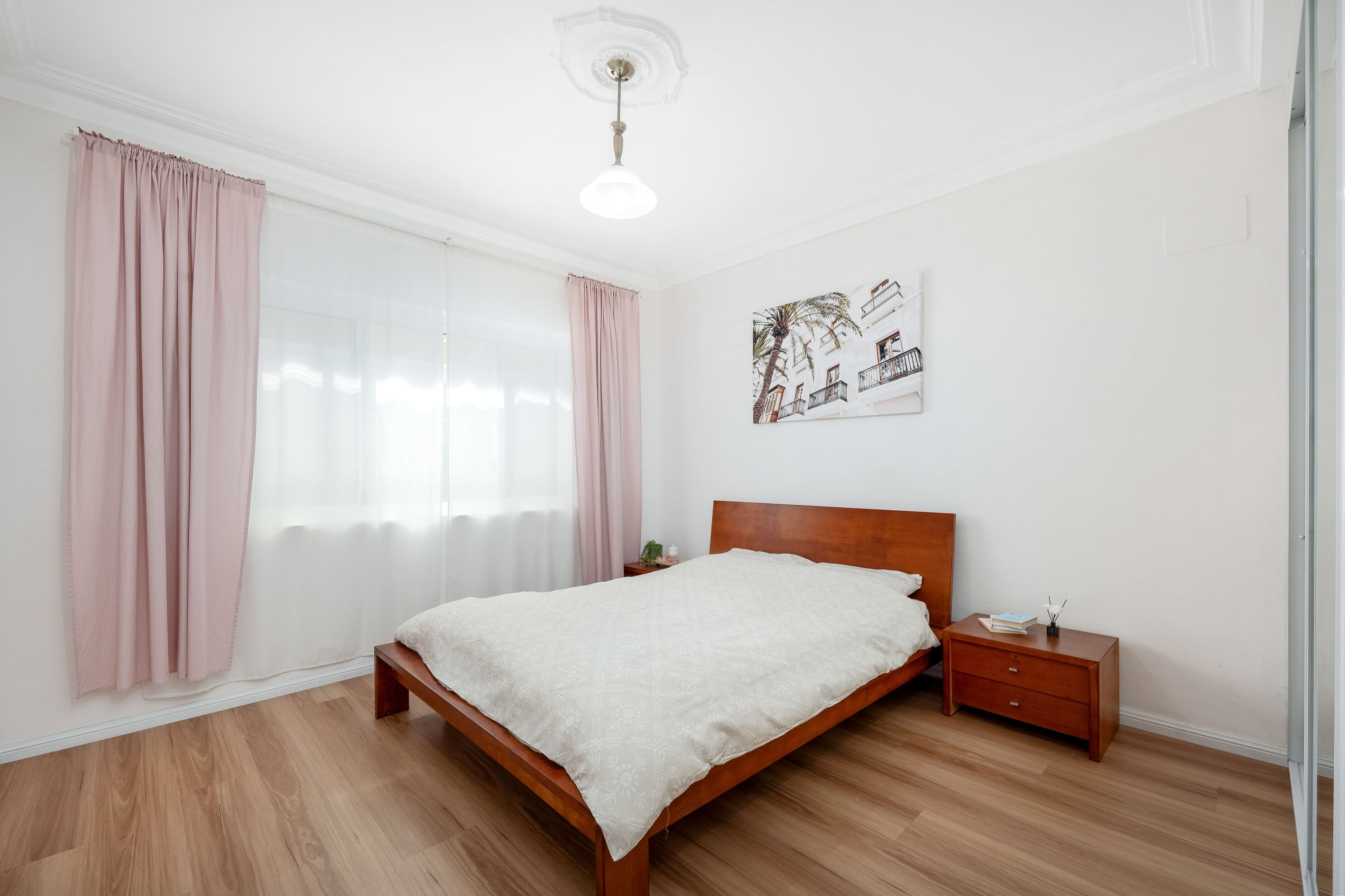 67 Jocelyn Street, Chester Hill NSW 2162, Chester Hill - Thumbnail 5