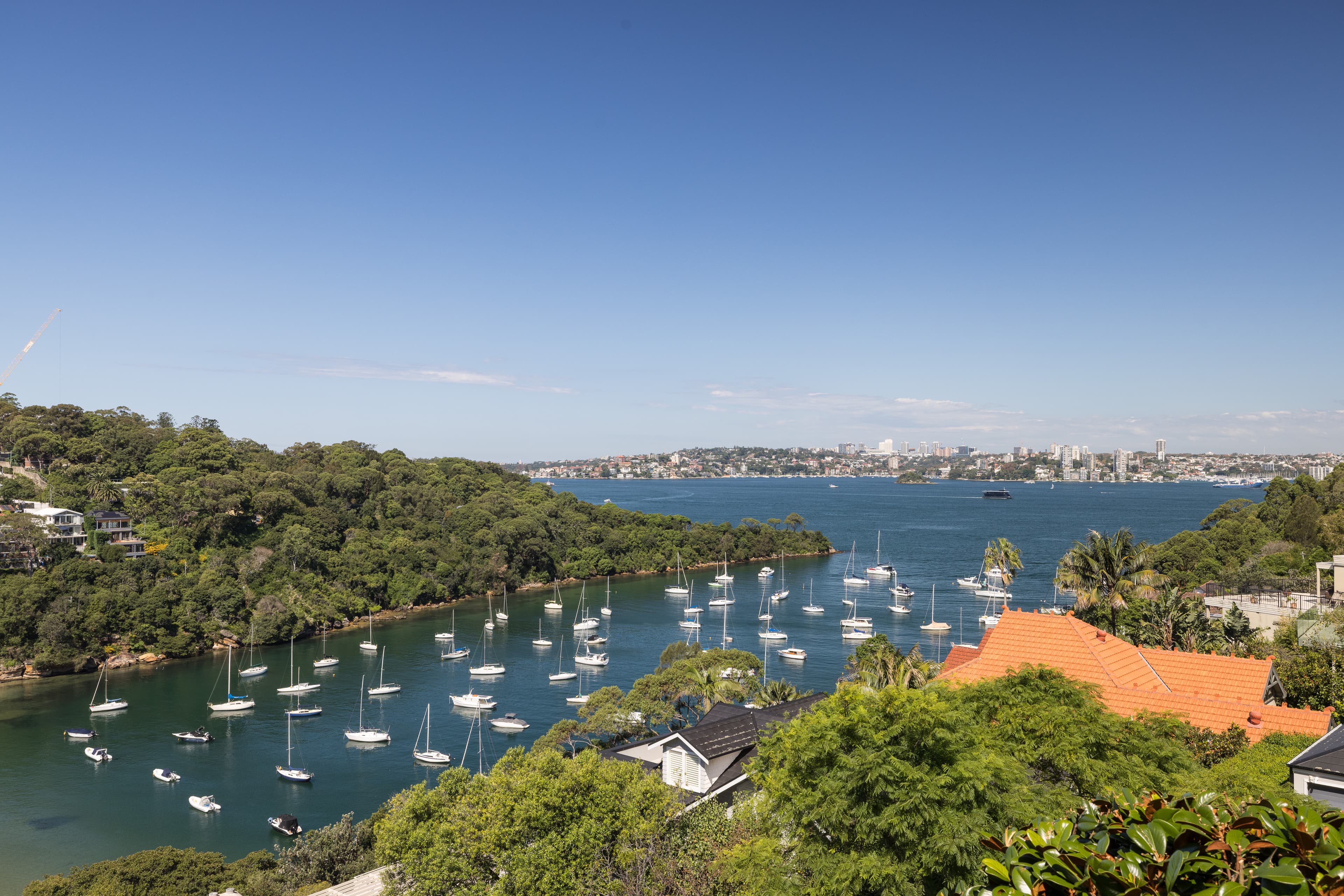 41a Raglan Street, Mosman, NSW, 2088, Mosman - Thumbnail 3