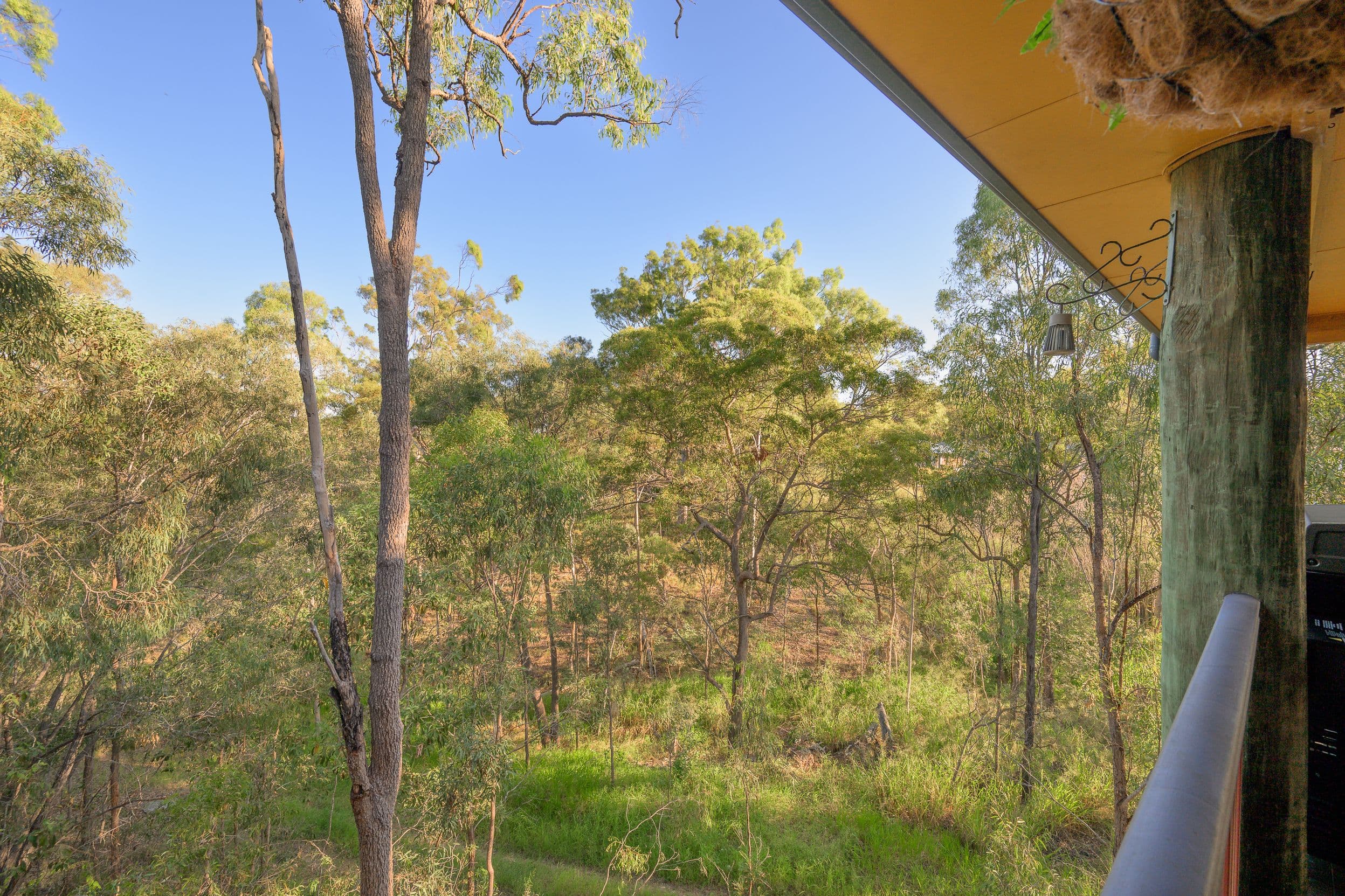 15 Fitzroy Avenue, Clinton QLD 4680, Clinton - Thumbnail 7