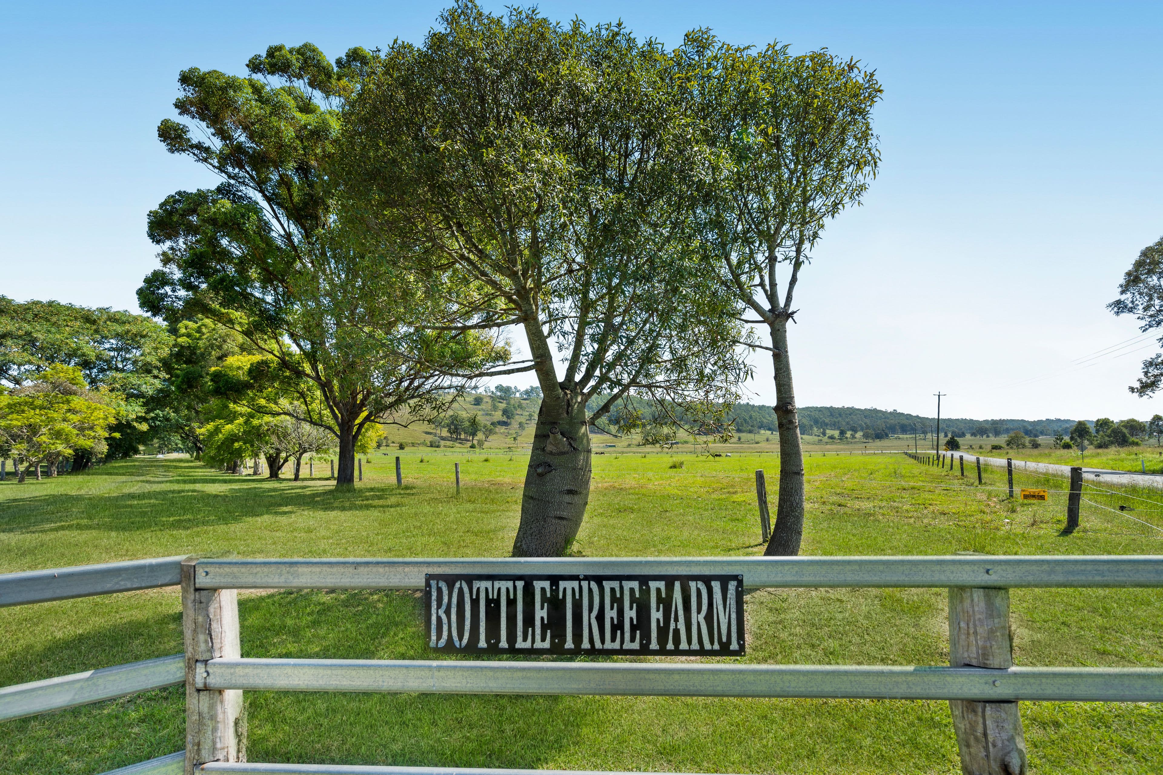 363 Round Mountain Road, Laravale QLD 4285, Laravale - Image 1