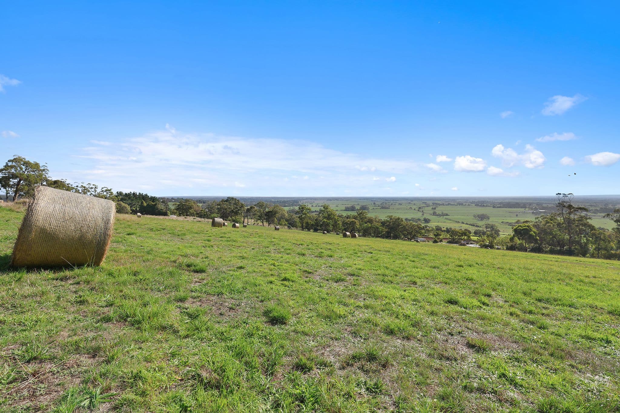 1550 Westernport Road, Heath Hill VIC 3981, Heath Hill - Thumbnail 4