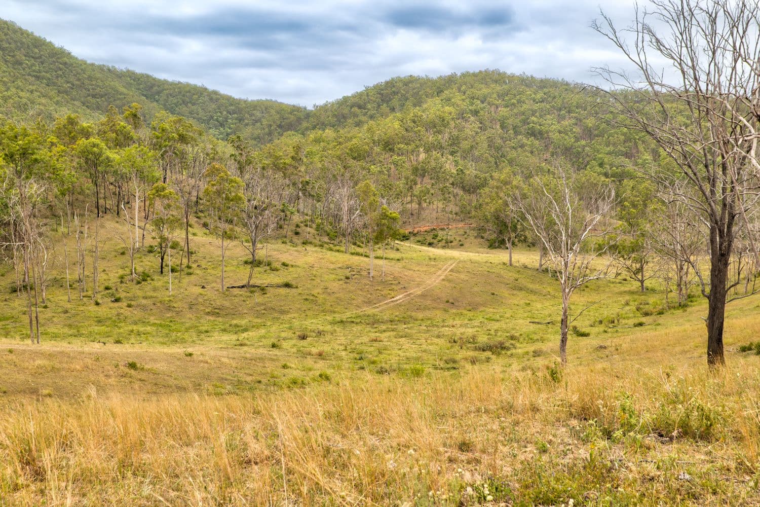 1706 ESK CROWS NEST Road, Biarra QLD 4313, Biarra - Thumbnail 3