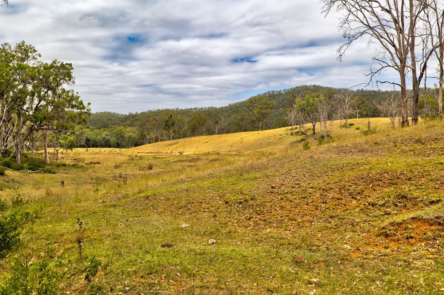 1706 ESK CROWS NEST Road, Biarra QLD 4313, Biarra - Thumbnail 4