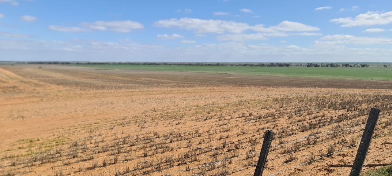 'Grogans' Banyenong-Jeffcott Road, Jeffcott North VIC 3480, Jeffcott North - Thumbnail 4