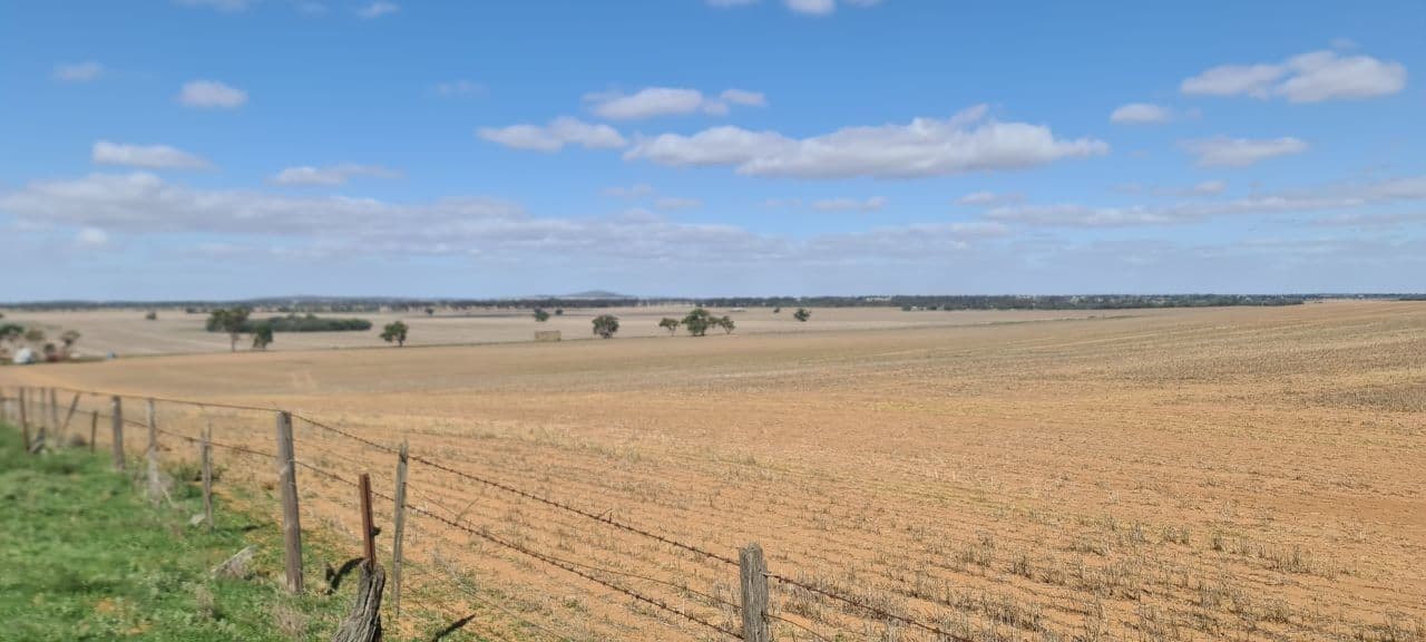 'Grogans' Banyenong-Jeffcott Road, Jeffcott North VIC 3480, Jeffcott North - Thumbnail 5