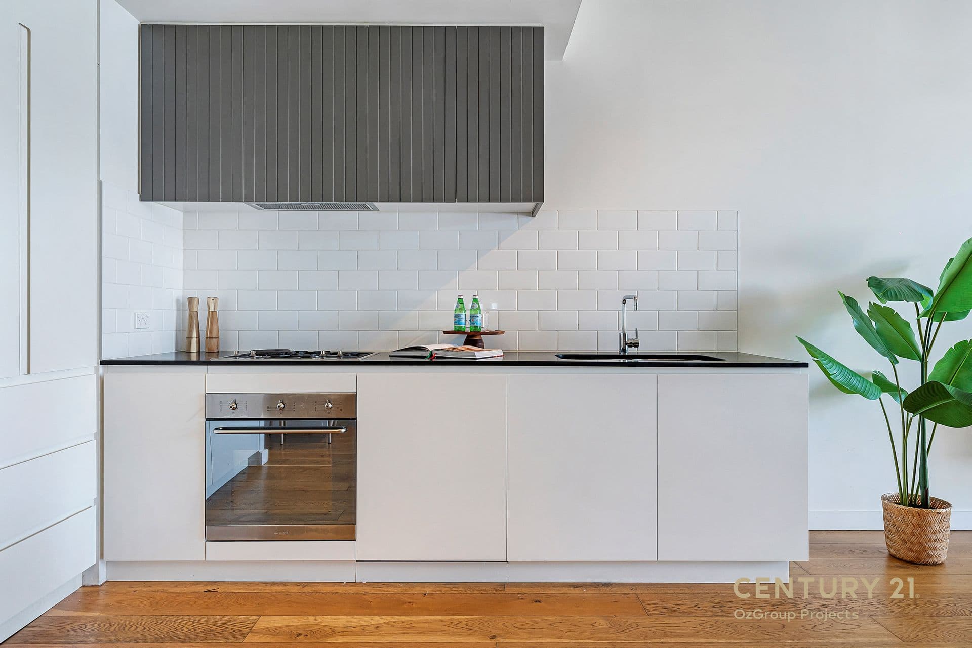 53D/356-368 George Street, Waterloo, NSW, 2017, Waterloo - Image 1