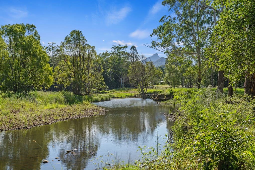 249 Rowlands Creek Road, Uki, NSW, 2484, Uki - Thumbnail 5