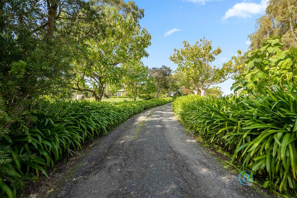 355 One Chain Road, Kardella, VIC, 3951, Kardella - Thumbnail 4