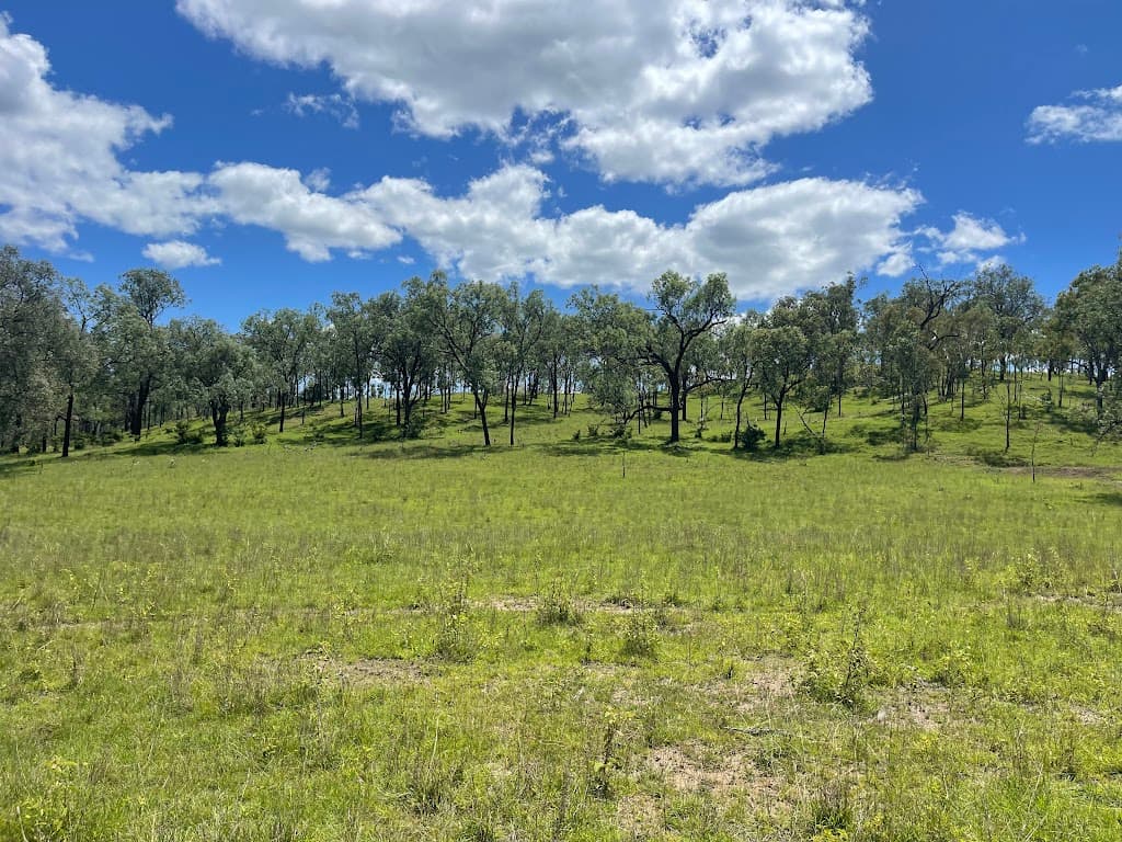37 Pine Mountain Creek Road, Monto, QLD, 4630, Monto - Thumbnail 4