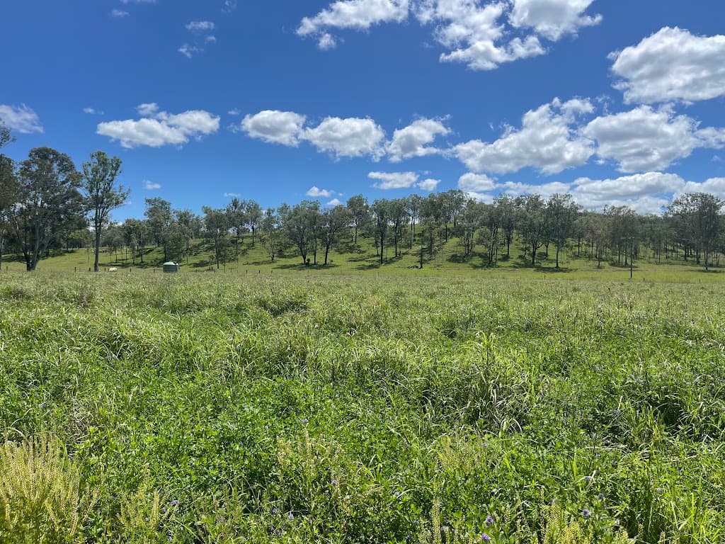 37 Pine Mountain Creek Road, Monto, QLD, 4630, Monto - Thumbnail 5
