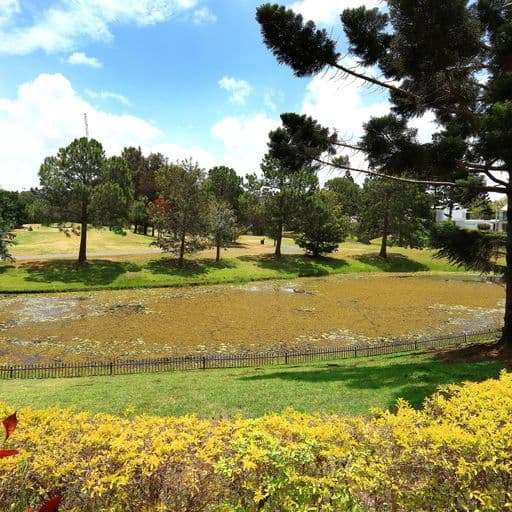 2112 Royal Pines Resort, Benowa, QLD, 4217, Benowa - Thumbnail 4