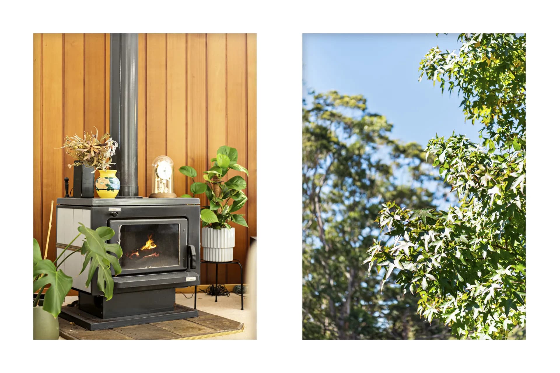9 Ocean Street, Mollymook, NSW, Mollymook - Thumbnail 7