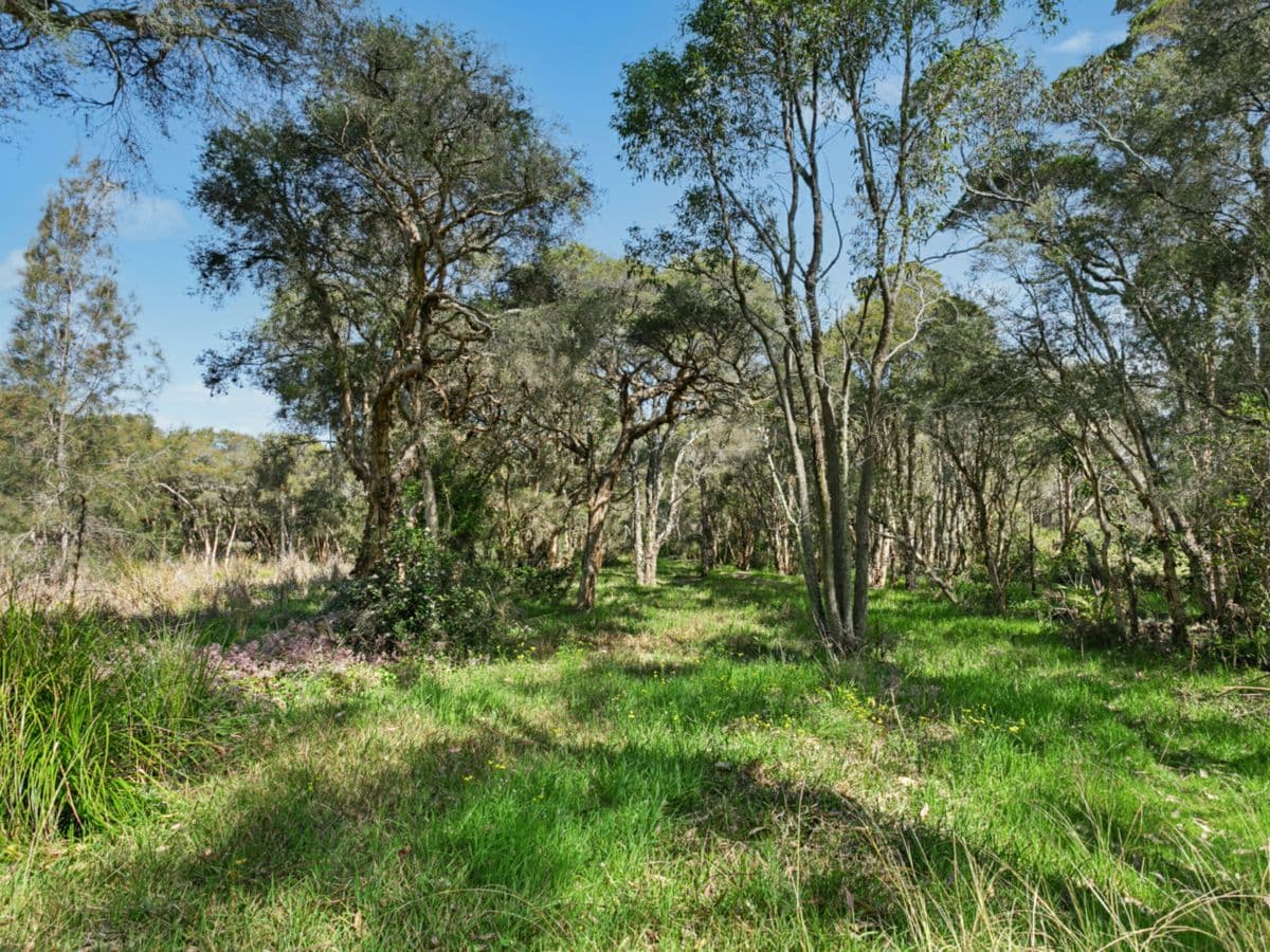 205 Bruce Crescent, WALLARAH, Wallarah - Thumbnail 8