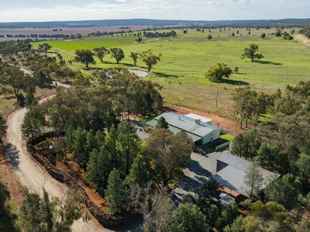 279 Brobenah Hall Road, LEETON, Leeton - Thumbnail 2