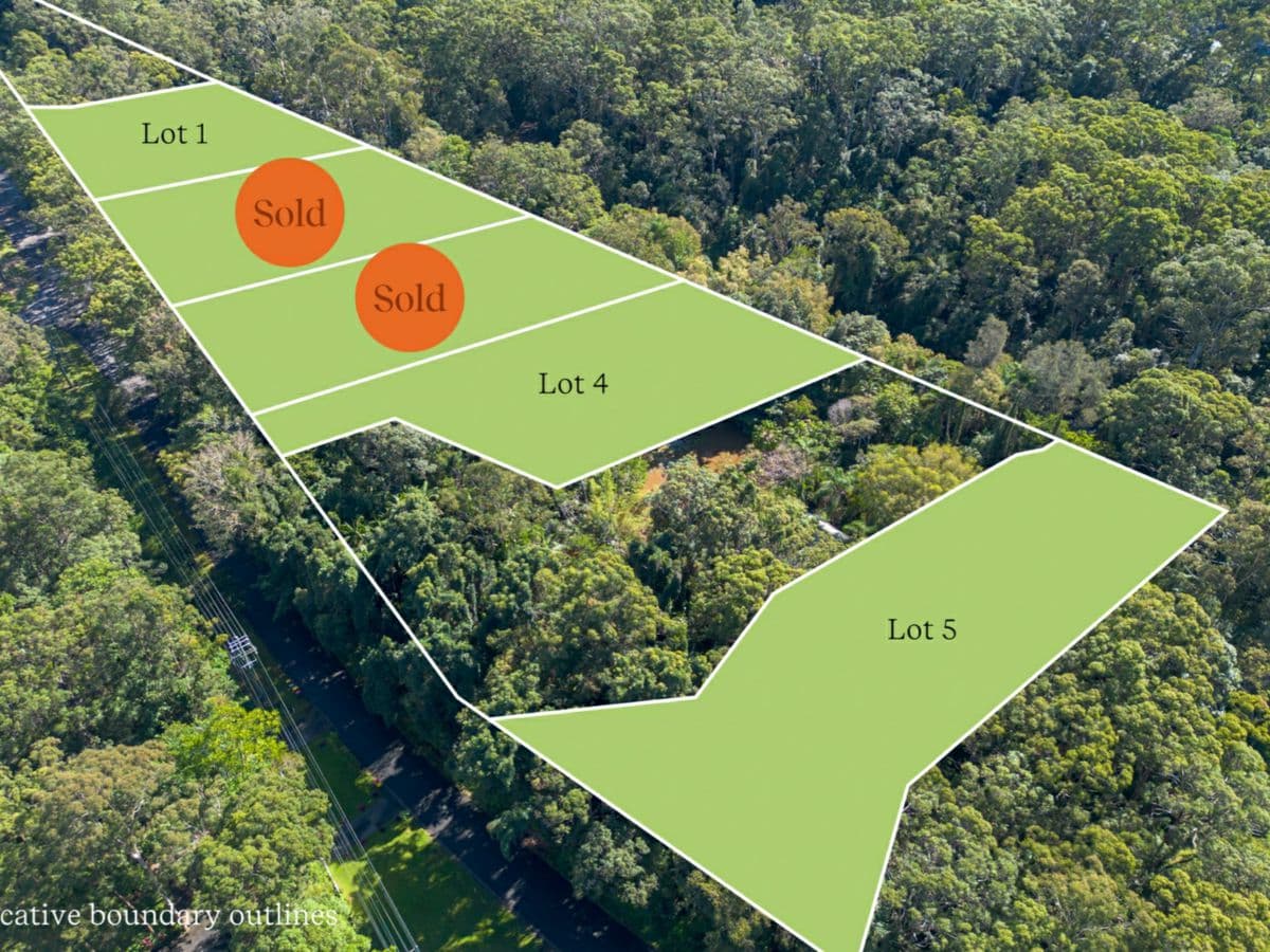 336 Old Bruce Highway, TANAWHA, Tanawha - Thumbnail 4