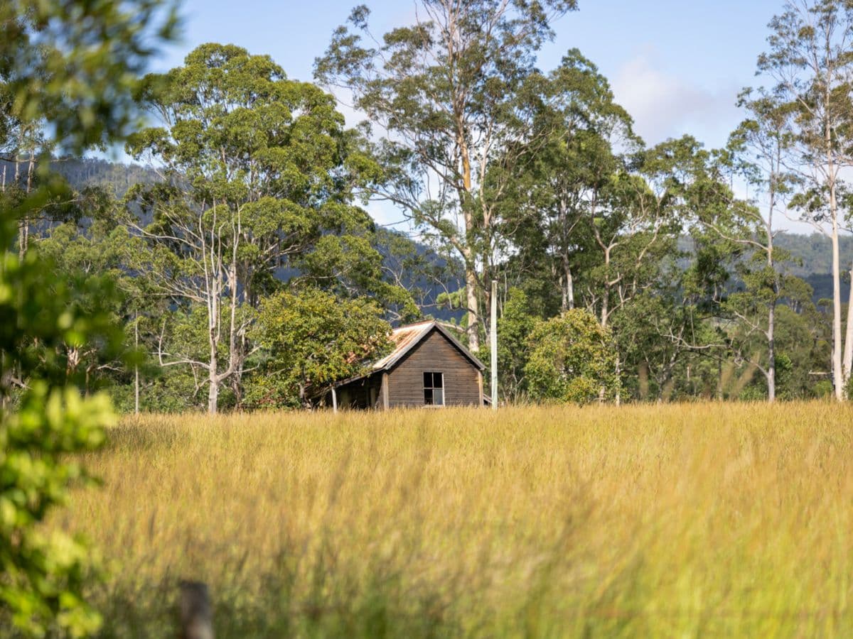 102 Careys Road, HILLVILLE, Hillville - Thumbnail 5