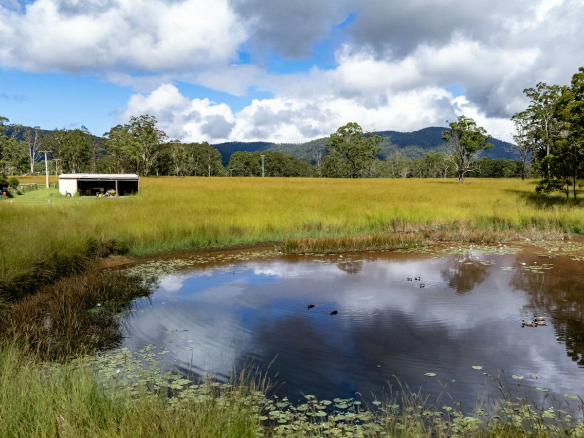 102 Careys Road, HILLVILLE, Hillville - Thumbnail 6