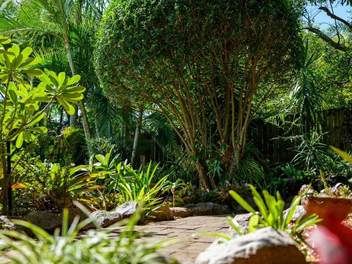 55 Banoon Drive, WYNNUM, Wynnum - Thumbnail 6