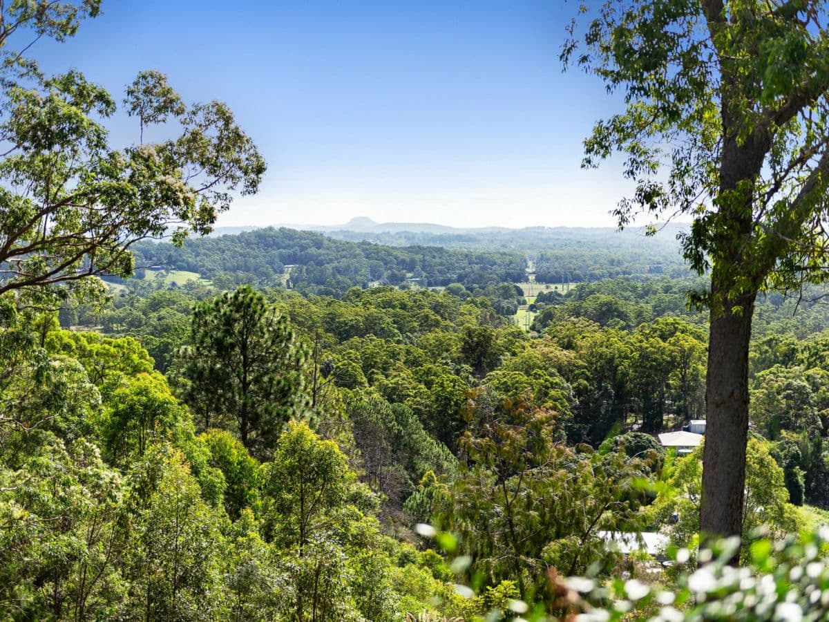 169 Nobles Road, EUDLO, Eudlo - Thumbnail 5