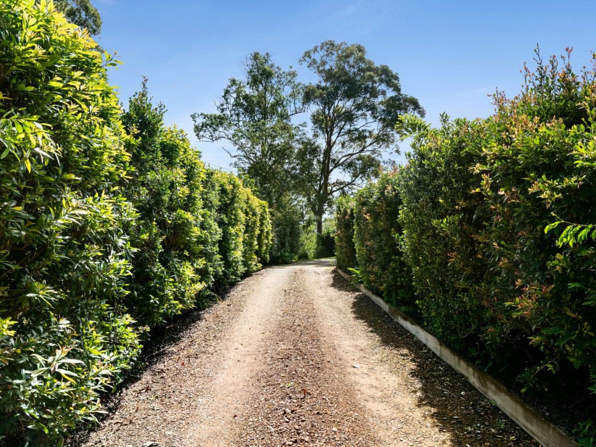 169 Nobles Road, EUDLO, Eudlo - Thumbnail 8