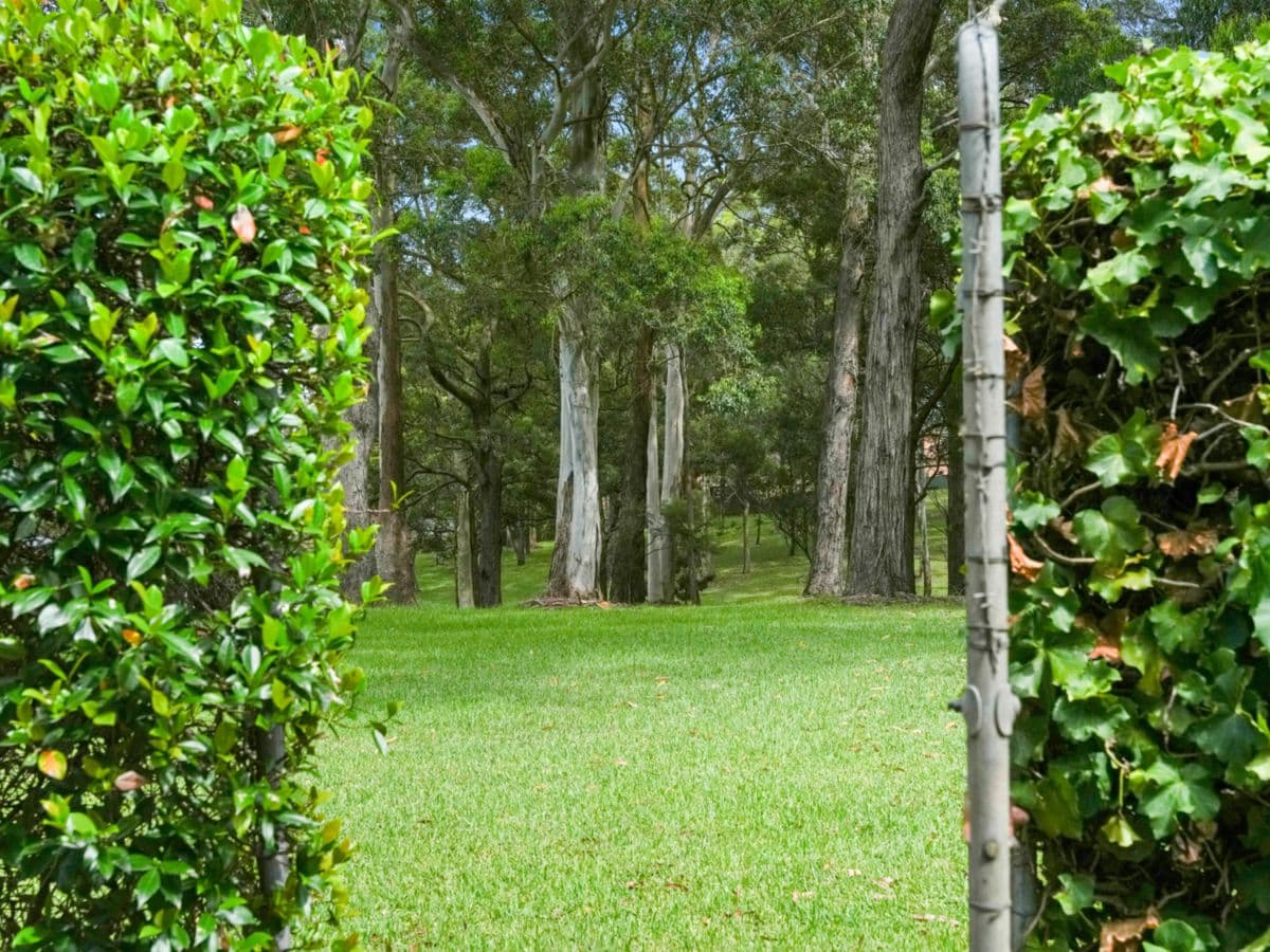 19 Robbie Crescent, CARLINGFORD, Carlingford - Thumbnail 3