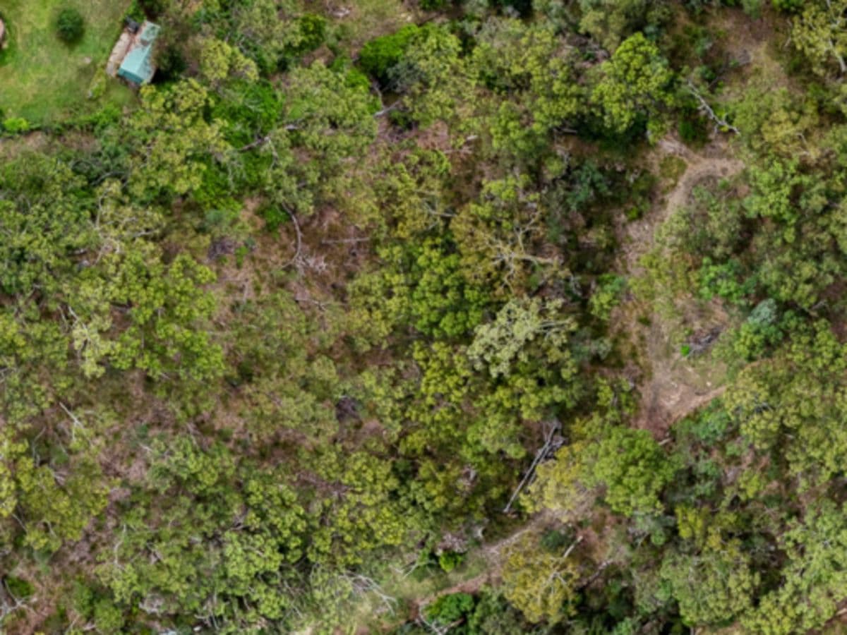 8 Everett Place, ANNANGROVE, Annangrove - Thumbnail 3