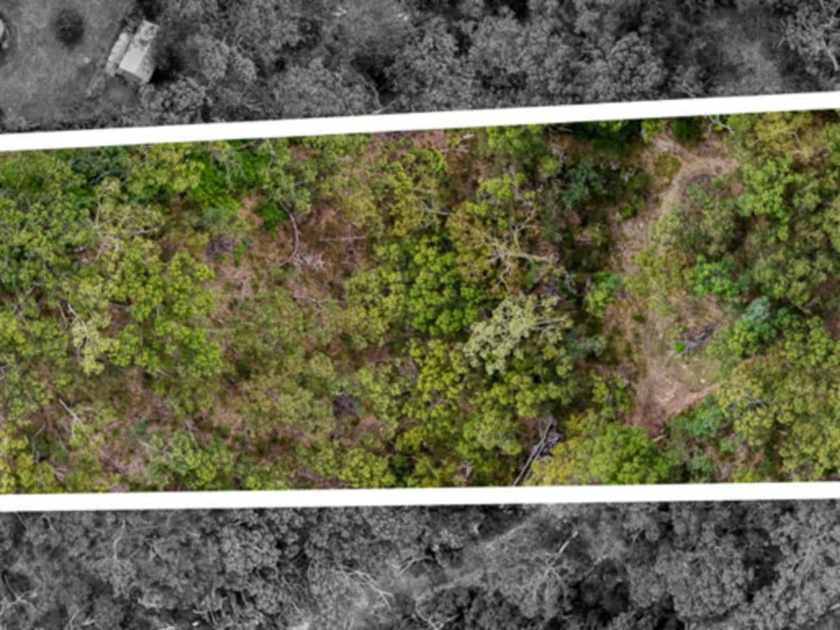 8 Everett Place, ANNANGROVE, Annangrove - Thumbnail 6