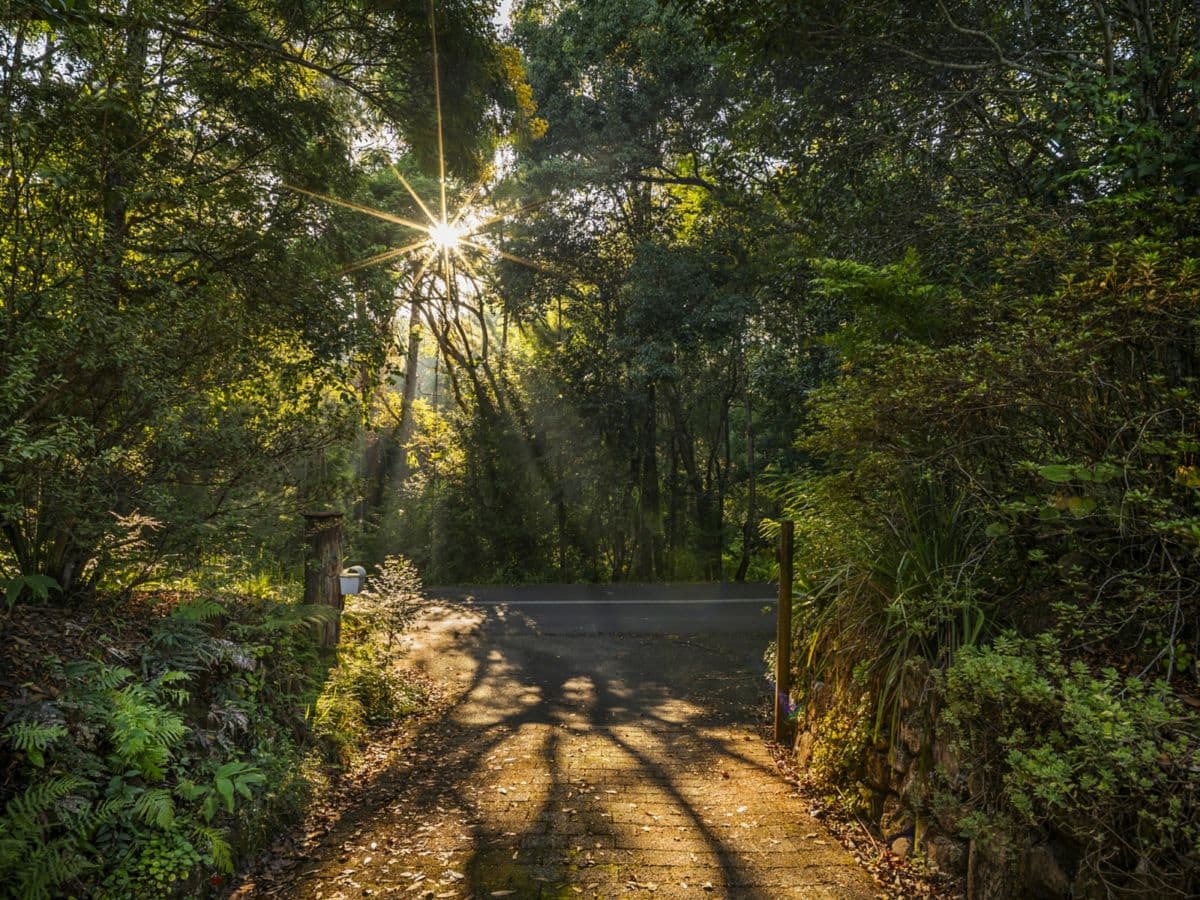 96 Bowraville Road, BELLINGEN, Bellingen - Thumbnail 3