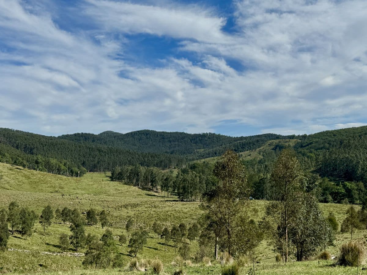 1061 Eaglehawk Trail, YARROWITCH, Yarrowitch - Image 1
