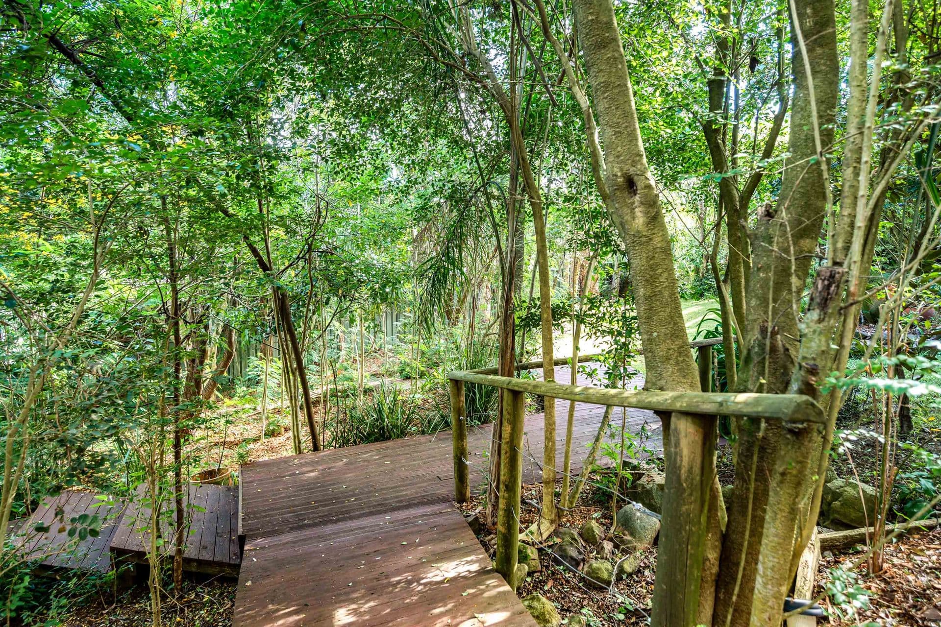 10 Alexander Parade, Charlestown, NSW, 2290, Charlestown - Thumbnail 6